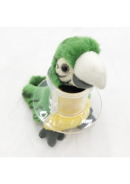 M Tarzı Kanarya Akrilik Tüp Yaka Kafesi Tüy Yolma Için Kısıtlayıcı Boyun Hareketi Kafesi Macaw Kakadu Afrika Gri Için (Yurt Dışından) fiyatları