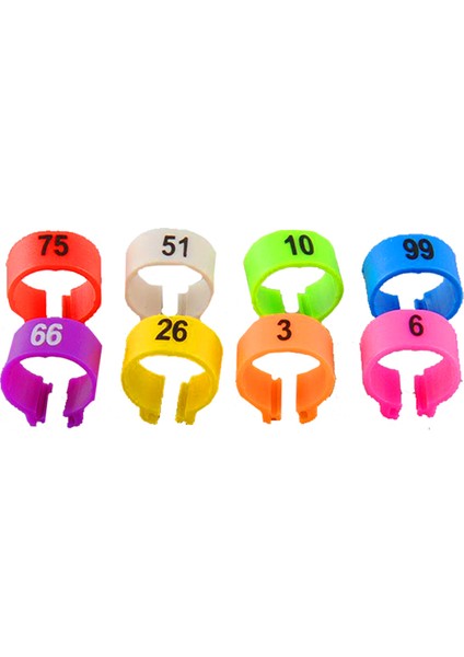 Yeşil Stil Kümes Hayvanı Bacak Bantları Kuş Güvercin Papağan Ördek Tavuk Halkaları Klip Numaralı Kümes Hayvanı Bacak Bantları Bacak Yüzük Renkleri Evcil (Yurt Dışından) fırsatları