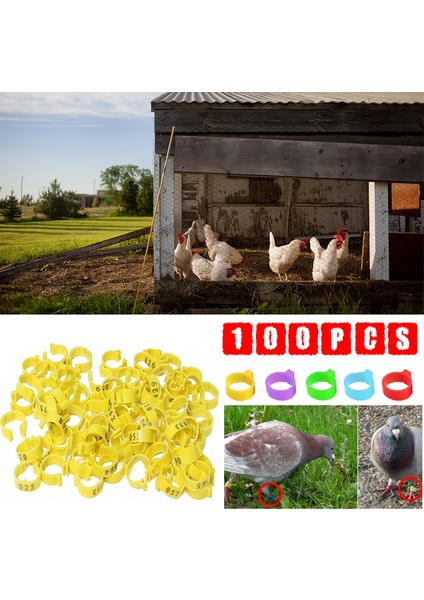 Yeşil Stil Kümes Hayvanı Bacak Bantları Kuş Güvercin Papağan Ördek Tavuk Halkaları Klip Numaralı Kümes Hayvanı Bacak Bantları Bacak Yüzük Renkleri Evcil (Yurt Dışından) indirimleri