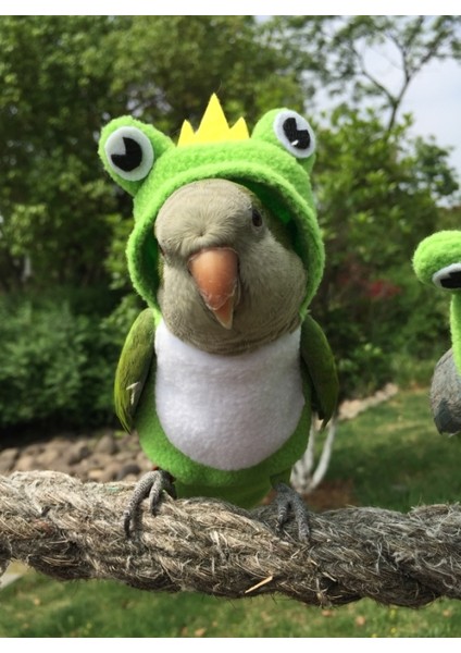 Gümüş Tarzı Kuş Kıyafetleri Kışlık Kalın Isıtmalı Uçan Tulum Evcil Hayvan Malzemeleri (Yurt Dışından) modelleri