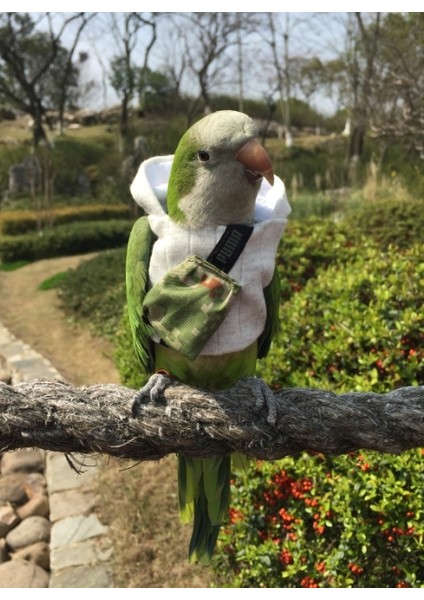 Gümüş Tarzı Kuş Kıyafetleri Kışlık Kalın Isıtmalı Uçan Tulum Evcil Hayvan Malzemeleri (Yurt Dışından) fırsatları