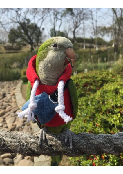 Gümüş Tarzı Kuş Kıyafetleri Kışlık Kalın Isıtmalı Uçan Tulum Evcil Hayvan Malzemeleri (Yurt Dışından) indirimleri