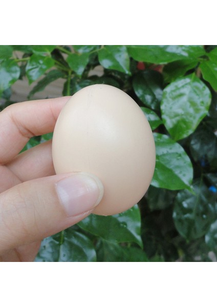 5 Adet 5.5*4cm Tavuk Kulübesi Küçük Sahte Yumurtalar Simülasyon Plastik Yumurtalar Çiftlik Hayvan Kafesi Aksesuarları Kendin Yap Boyama (Yurt Dışından)