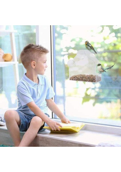 Şeffaf Stil Akrilik Şeffaf Kuş Besleme Aparatı Vantuzu Monteli Kuş Evi Yiyecek Aracı - Kuşlar Için Aksesuar (Yurt Dışından)