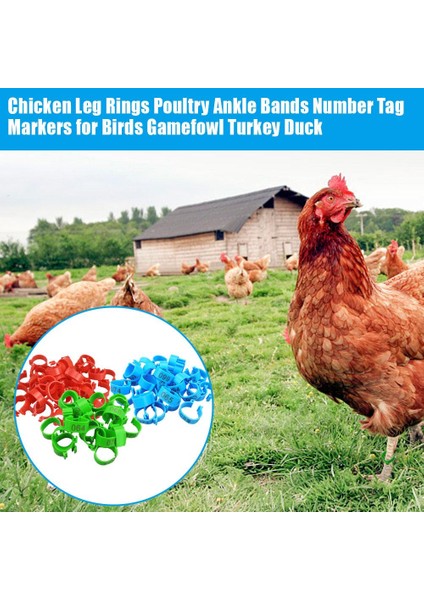 No.2 Tarzı 2cm Tavuk Bacak Halkaları Kümes Ayak Bantları Numara Etiketleri Kuşlar Gamefowl Hindi Ördek Için (Yurt Dışından) indirimleri