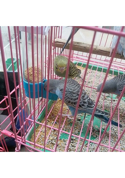 Yeşil Alt Tarzı Evcil Kuş Plastik Otomatik Papağan Muhabbet Kuşu Içme Kadehi Kase Dağıtıcı Kafes Malzemeleri (Yurt Dışından) fırsatları