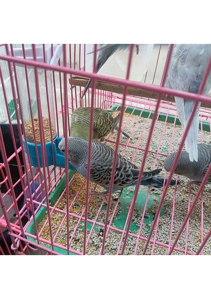 Yeşil Alt Tarzı Evcil Kuş Plastik Otomatik Papağan Muhabbet Kuşu Içme Kadehi Kase Dağıtıcı Kafes Malzemeleri (Yurt Dışından) indirimleri