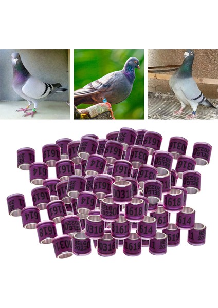 Mor Tarzı Yıl Alüminyum Yarış Güvercin Ayak Yüzükleri Bantlar 8mm Tekrar Kullanılabilir Papağan Bıldırcın Fanary Için (Yurt Dışından)