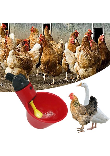 Tavuk Suluğu Stili 40CM Tavuk Içme Bardağı Otomatik Içme Sistemi Tavuk Plastik Su Içme Bardakları Kolay Kurulum (Yurt Dışından) fiyatları