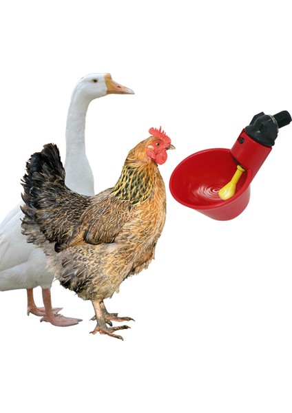 Tavuk Suluğu Stili 40CM Tavuk Içme Bardağı Otomatik Içme Sistemi Tavuk Plastik Su Içme Bardakları Kolay Kurulum (Yurt Dışından) modelleri