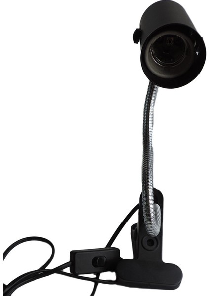 1 Adet 150W Lamba Tipi L Beden Seramik Lamba Tutucu Isıtma Lambası + E27 Tabanlı Kertenkele Kuluçka Kafesi Isıtıcı Sıcaklık Kontrol Aracı (Yurt Dışından)