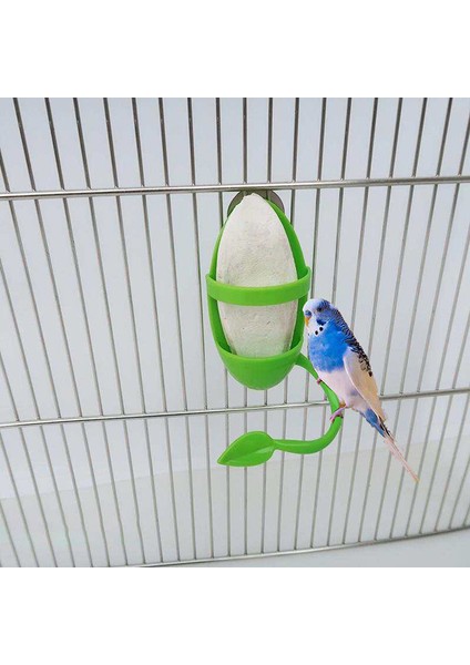 Yemek Rafı Tarzı Kuş Kemik Tutucu ile Dallar Plastik Kemik Rafları Papağan Kafes Standları Aksesuarları Için Muhabbet Kuşları Için Uygun (Yurt Dışından) fiyatları