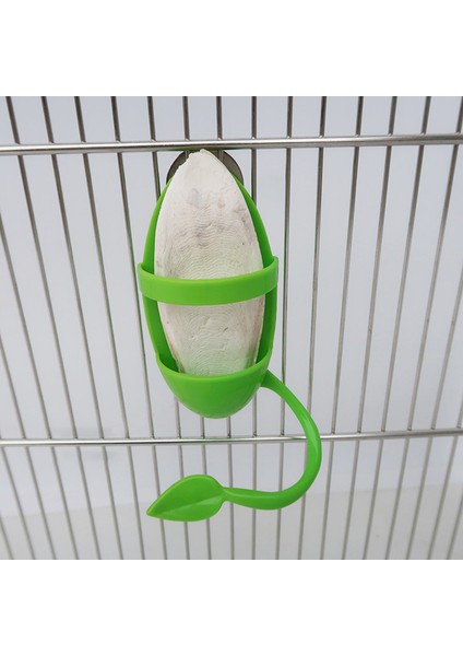 Yemek Rafı Tarzı Kuş Kemik Tutucu ile Dallar Plastik Kemik Rafları Papağan Kafes Standları Aksesuarları Için Muhabbet Kuşları Için Uygun (Yurt Dışından) fırsatları