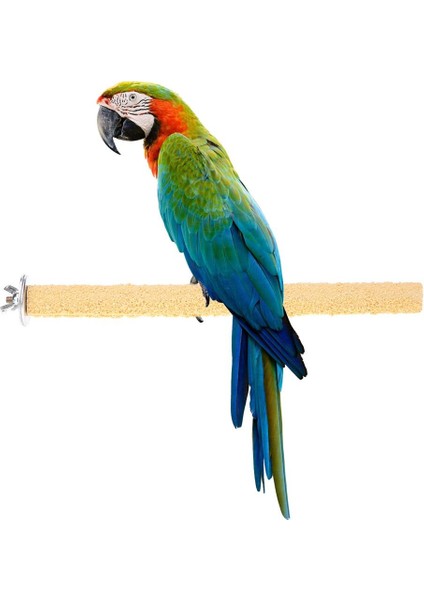 40CM Tarzı Renkli Kafes Tüy Oyuncakları Tırnak Taşlama Temizleme Için Kafes Tüyleri Stand Platform Kuş Oyuncakları Parrot Parakeet Pet Malzemeleri Için Chew Oyuncakları (Yurt Dışından) modelleri