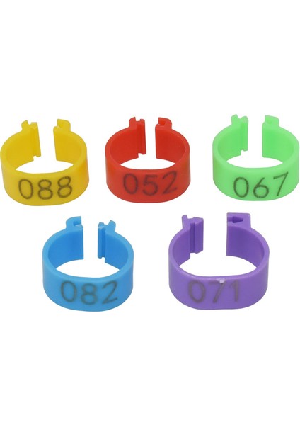 Yeşil Stil 16MM Iç Çap cm Plastik Açık Tip Toka Tavuk Ördek Kaz 5 Renkli Dijital Ayak Halkası Kümes Hayvancılığı Ekipmanı (Yurt Dışından) modelleri