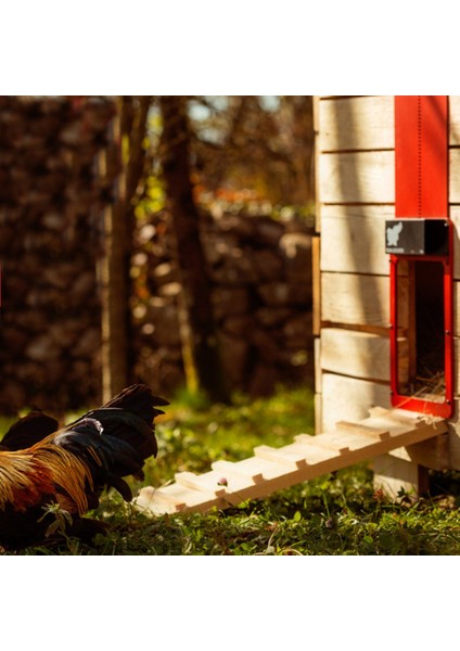 1 Adet Tarzı Işığa Duyarlı Otomatik Tavuk-Köpek Kapısı - Yüksek ve Pratik Ev Kapısı (Yurt Dışından)