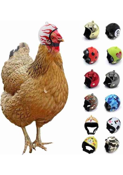 No.3 Tarzı Heken Kasklı Kafes Kuş Kafesi Güneş Yağmur Malzemeleri Kask Aksesuarları Oyuncak Kask Küçük Kostümler Kuş Tavuk P B3L8 (Yurt Dışından)