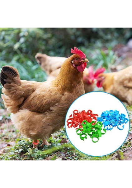 No.1 Tarzı 2cm Tavuk Bacak Halkaları Kümes Ayak Bantları Numara Etiketleri Kuşlar Gamefowl Hindi Ördek Için (Yurt Dışından) modelleri