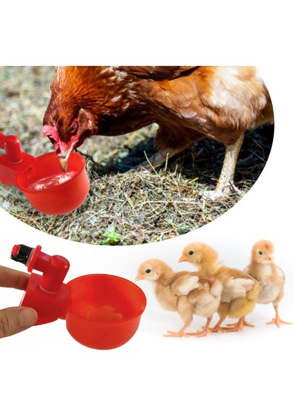 C Stili 6 Parça Yeni Otomatik Inek Içme Kabı Bıldırcın Asma Su Bardağı Meme Içme Kasesi Kuş Kümesteki Içme Kapları Arka Bahçe Kümesi Için (Yurt Dışından) fiyatları