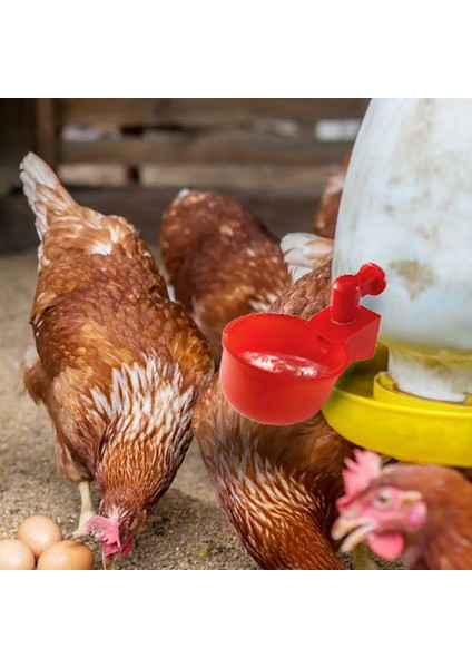 C Stili 6 Parça Yeni Otomatik Inek Içme Kabı Bıldırcın Asma Su Bardağı Meme Içme Kasesi Kuş Kümesteki Içme Kapları Arka Bahçe Kümesi Için (Yurt Dışından) modelleri