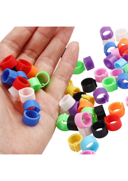 Çok Renkli Stil Ev Bahçesi Plastik Pet Ürünleri Kelepçe Halkaları 8 mm Çapında Kolayca Çıkarılabilir Renkli Güvercin Bacak Halkaları - Rastgele Renk (Yurt Dışından) fırsatları