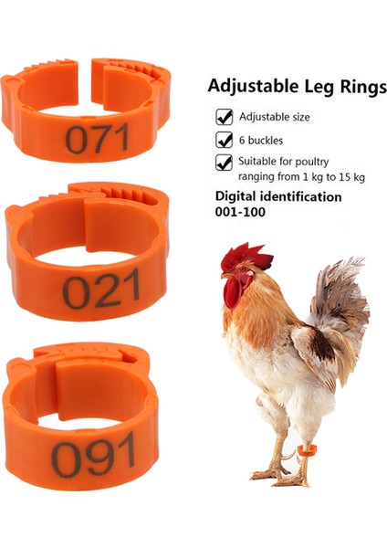 Tavuk Ördek Güvercin Için Ayarlanabilir Ayak Halkası Dijital Etiket Tokası Kümes Hayvanları Malzemeleri Renk Rastgele (Yurt Dışından)
