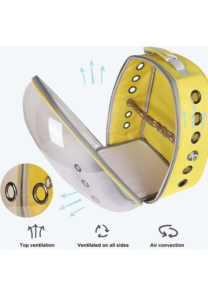 H Tarzı Yüksek Kaliteli Papağan Taşıyıcı Kuş Seyahat Çantası Uzay Kapsülü Şeffaf Sırt Çantası Nefes Alabilir Papağan Sırt Çantası 360° Manzara Gezisi (Yurt Dışından) indirimleri