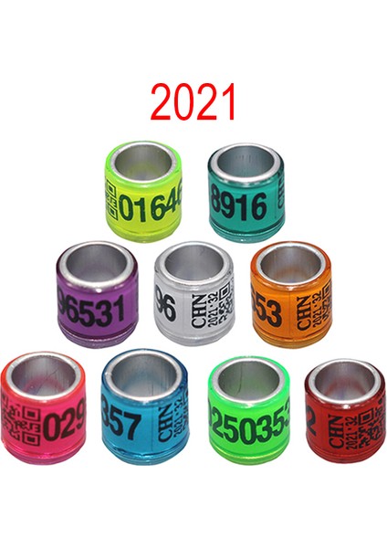 Mavi Stil 2021 Yılı Yeni Çok Renkli Güvercin Ayak Halkası ve Kelime Küpe Seti (Yurt Dışından)