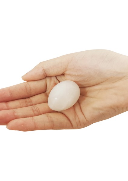 2 Adet Tarzı Sahte Güvercin Yumurtaları Yumurta Yuvaya Yumurta Yerleştirme Seti - Plastik Tavuk Malzemeleri - Sahte Yumurtalar - Güvercin Yumurtaları - Yumurta Çizimi - Boyalı Yumurta (Yurt Dışından)