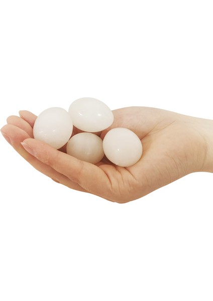 2 Adet Tarzı Sahte Güvercin Yumurtaları Yumurta Yuvaya Yumurta Yerleştirme Seti - Plastik Tavuk Malzemeleri - Sahte Yumurtalar - Güvercin Yumurtaları - Yumurta Çizimi - Boyalı Yumurta (Yurt Dışından)