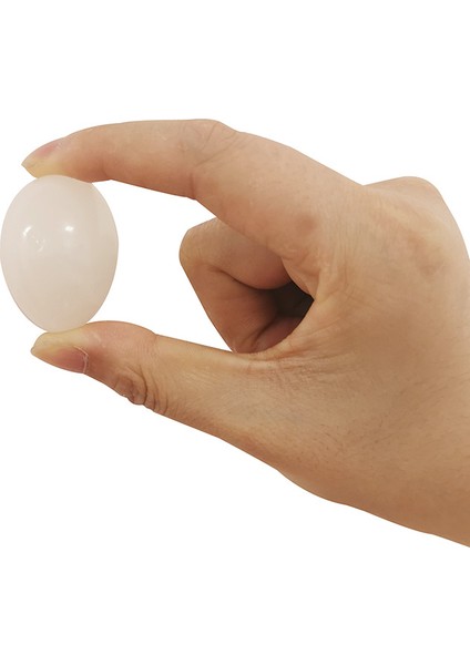 2 Adet Tarzı Sahte Güvercin Yumurtaları Yumurta Yuvaya Yumurta Yerleştirme Seti - Plastik Tavuk Malzemeleri - Sahte Yumurtalar - Güvercin Yumurtaları - Yumurta Çizimi - Boyalı Yumurta (Yurt Dışından)