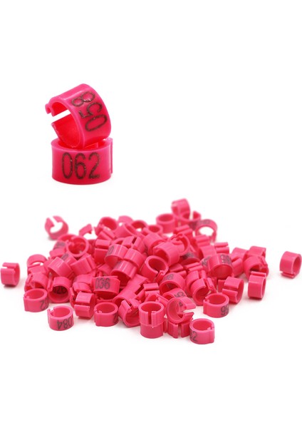 Mor 100 Adet Tarzı Çok Renkli Güvercin Ayak Yüzükleri ile Kelimeler Plastik Küpeler Durable Bird Ring Güvercin Ayak Yüzükleri Malzemeleri Kuş Araçları (Yurt Dışından)