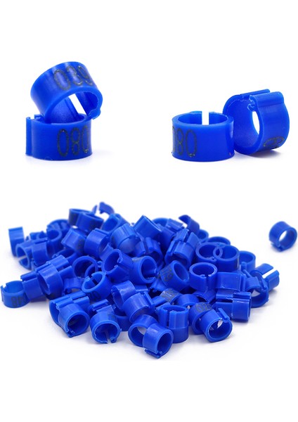 Mor 100 Adet Tarzı Çok Renkli Güvercin Ayak Yüzükleri ile Kelimeler Plastik Küpeler Durable Bird Ring Güvercin Ayak Yüzükleri Malzemeleri Kuş Araçları (Yurt Dışından)