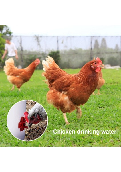 Kırmızı Stil 20 Adet Tavuklar Için Otomatik Su Dağıtıcısı Yatay Yan Montaj Tavuk Su Içirici Kümes Su Emicileri Çiftlik Aksesuarları (Yurt Dışından) fiyatları