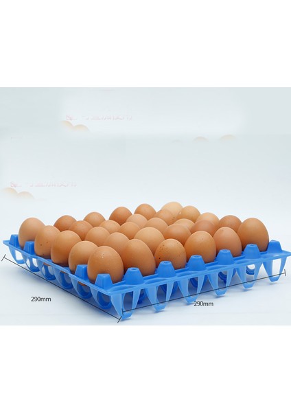 Sarı Stil M Beden Yumurta Ticari Yumurta Taşıma Yumurta Tepsi Dönüşüm Kafesi Plastik Yumurta Kapları Katmanlar Çiftliği Hayvan Ekipmanları Geri Dönüşüm (Yurt Dışından)