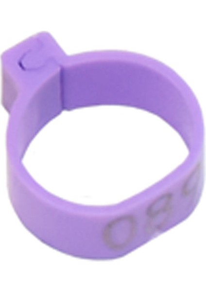 Mor Tarzı 20 mm 16MM Plastik Açık Tokalı Tavuk ve Ördek Kaz Ayak Halkası 5 Renkli Piliç Yetiştirme Ekipmanı (Yurt Dışından)