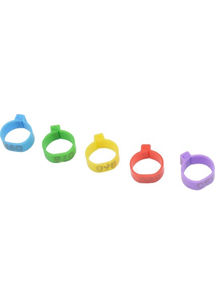 Mor Tarzı 20 mm 16MM Plastik Açık Tokalı Tavuk ve Ördek Kaz Ayak Halkası 5 Renkli Piliç Yetiştirme Ekipmanı (Yurt Dışından) fırsatları