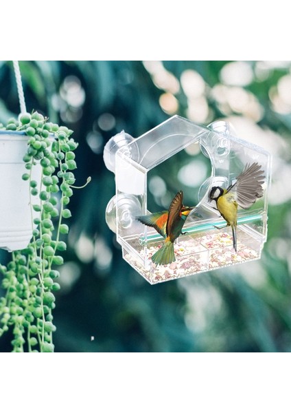 Güçlü Emme Kupası Tohum Tepsili Açık Kuş Besleme Pencere Montajlı Şeffaf Akrilik Kuş Besleyici - Fardinal Mavi Kuş Için (Yurt Dışından) fiyatları