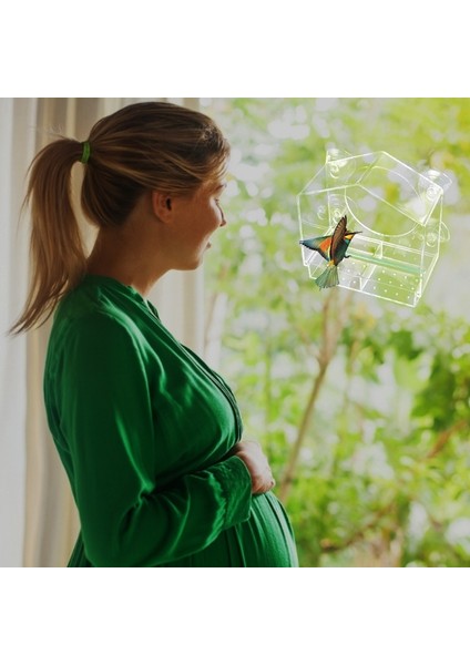 Güçlü Emme Kupası Tohum Tepsili Açık Kuş Besleme Pencere Montajlı Şeffaf Akrilik Kuş Besleyici - Fardinal Mavi Kuş Için (Yurt Dışından) modelleri