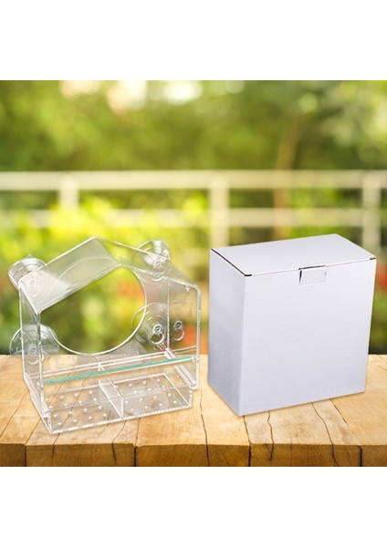 Güçlü Emme Kupası Tohum Tepsili Açık Kuş Besleme Pencere Montajlı Şeffaf Akrilik Kuş Besleyici - Fardinal Mavi Kuş Için (Yurt Dışından) fırsatları