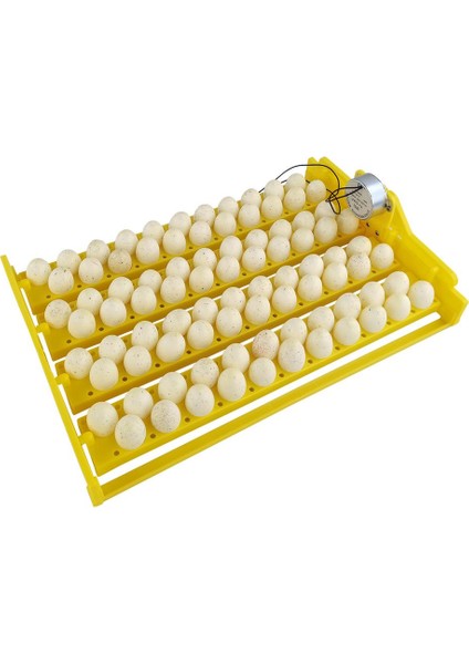 220V Tarzı Sıcak Satış Otomatik Yumurta Incubator Taşınabilir 88 Kuş Yumurtası Incubator Tepsi Çiftlik Bıldırcın Kuşu Piliç Yumurtası Kuluçka Makinesi Ev Malzemeleri (Yurt Dışından)