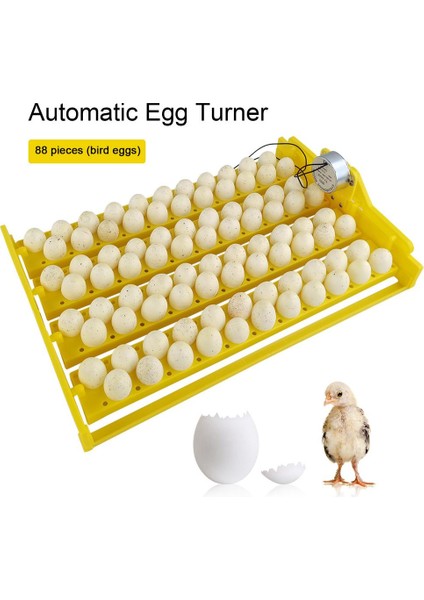 220V Tarzı Sıcak Satış Otomatik Yumurta Incubator Taşınabilir 88 Kuş Yumurtası Incubator Tepsi Çiftlik Bıldırcın Kuşu Piliç Yumurtası Kuluçka Makinesi Ev Malzemeleri (Yurt Dışından)