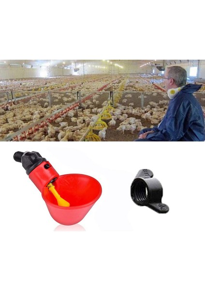 24 Adet Tarzı Otomatik Kuş Kümesi Kanatlı Tavuk Su Içme Bardakları Hayvan Yemleme Su Içme Malzemeleri (Yurt Dışından) fırsatları