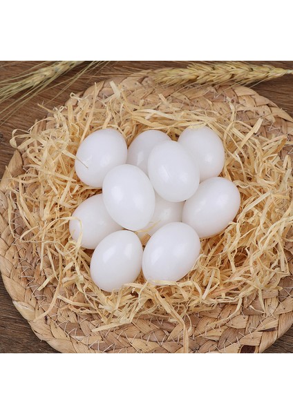 Sahte Yumurta Plastik Güvercin Yumurtası Katı Güvercin Sahte Yumurta Güvercin Kuluçka Malzemeleri 2.5cm x 3.5cm (Yurt Dışından)