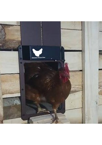 Bir Stil Hava Koşullarına Dayanıklı Otomatik Tavuk Kapısı Sabah Akşam Açma Gecikmeli Zamanlayıcı ile Çiftlik Araçları (Yurt Dışından) modelleri