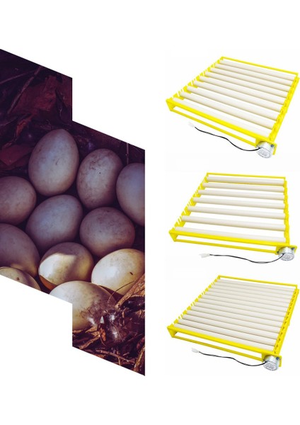 42 Yumurta Tarzı 220V Plastik Yumurta Kuluçka Aksesuarları Dayanıklı Döner Otomatik Rulo Desenli Yumurta Çevirme Tepsisi Ev Yumurta Tepsisi (Yurt Dışından)