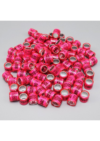 Pembe Stil 2021 Yılı Yeni Çok Renkli Güvercin Ayak Halkası ve Kelime Küpe Seti (Yurt Dışından)