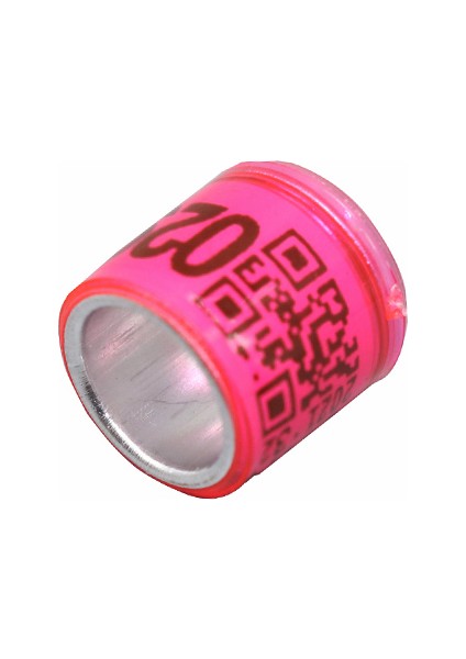 Pembe Stil 2021 Yılı Yeni Çok Renkli Güvercin Ayak Halkası ve Kelime Küpe Seti (Yurt Dışından)
