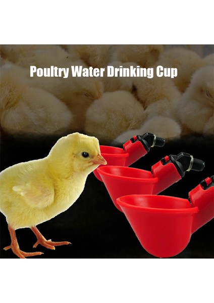 1 Adet Tarzı 5 Adet Çiftlik Kümes Içme Bardağı Otomatik Tetikli Su Tavuk Yemliği Tavuk Suluğu Su Tavuk Peck Tetikli Kupayı Doldurma (Yurt Dışından) fırsatları