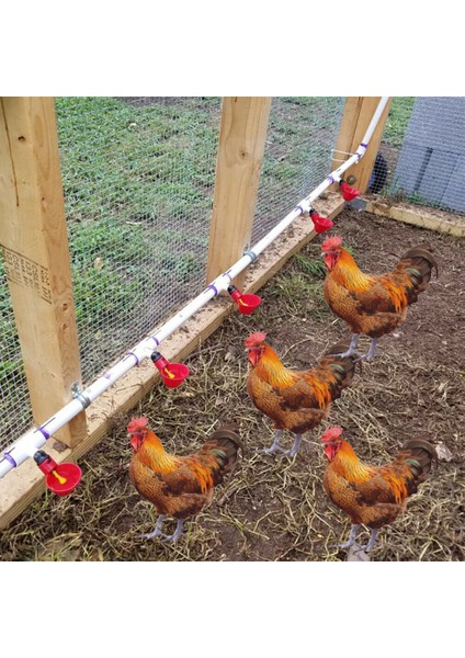 1 Adet Tarzı 5 Adet Çiftlik Kümes Içme Bardağı Otomatik Tetikli Su Tavuk Yemliği Tavuk Suluğu Su Tavuk Peck Tetikli Kupayı Doldurma (Yurt Dışından) indirimleri